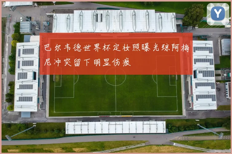 巴尔韦德世界杯定妆照曝光琼阿梅尼冲突留下明显伤痕